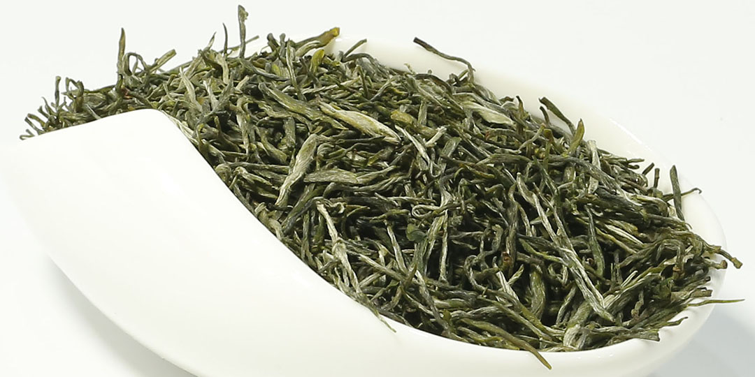 王氏小乔生态秀芽