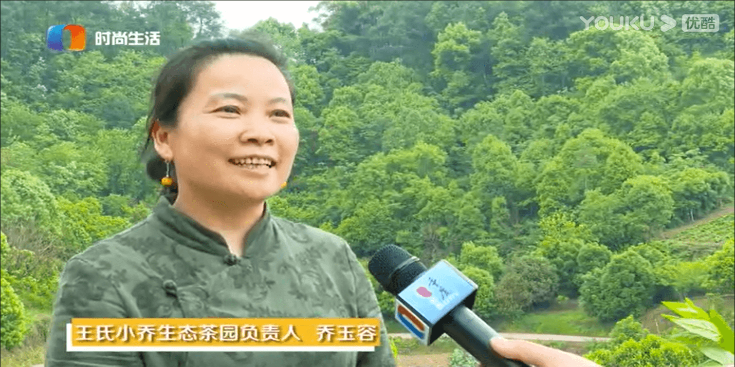 《特色重庆》栏目—王氏小乔生态茶园