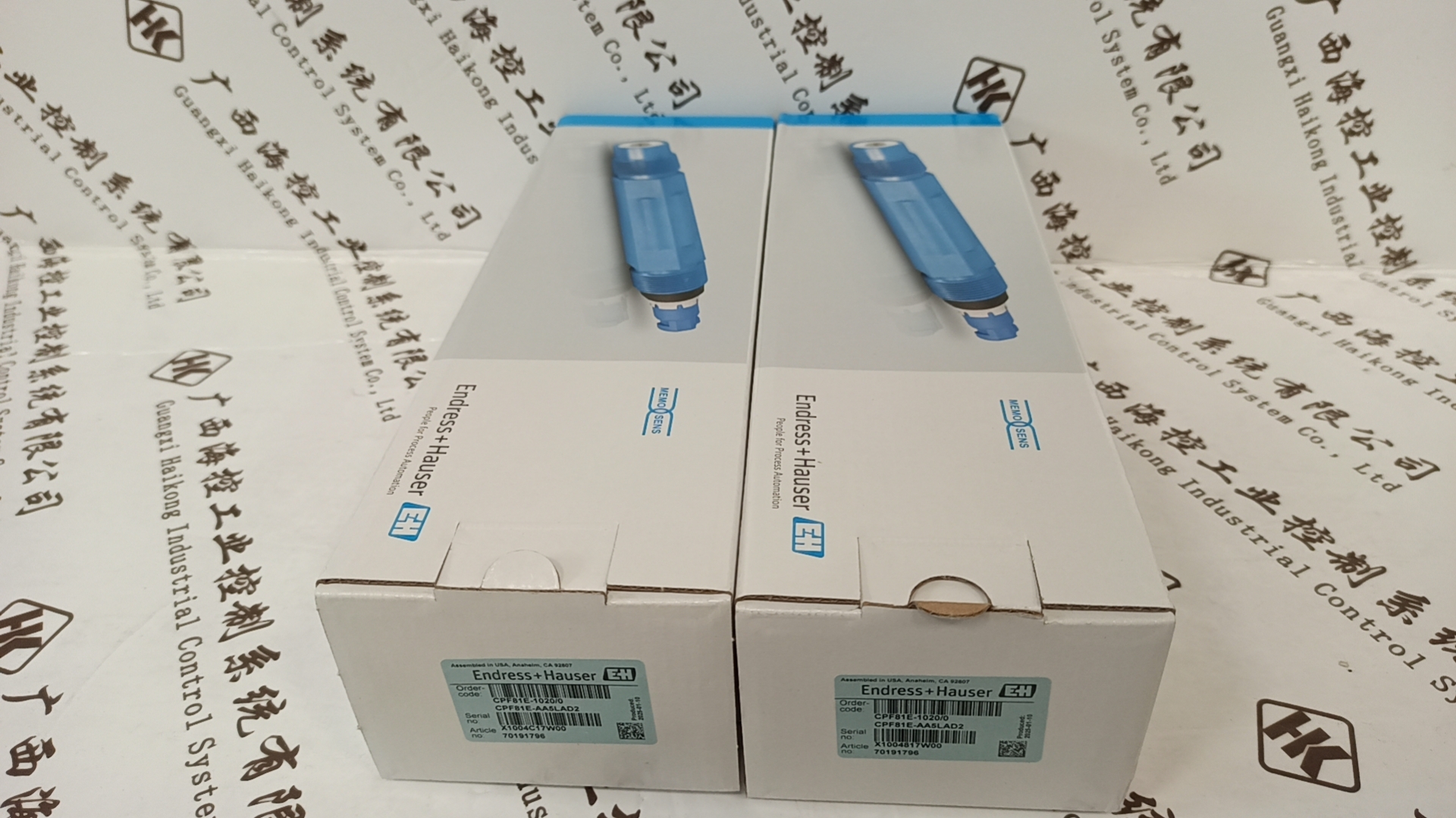 E+H CPF81E-AA5LAD2 电极