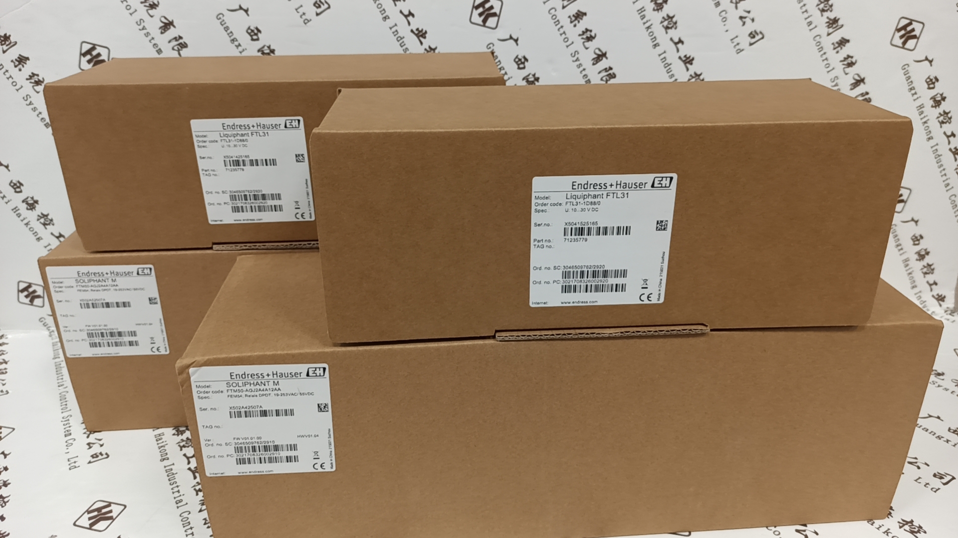 ENDRESS+HAUSER FTL31-1D88/D音叉液位开关