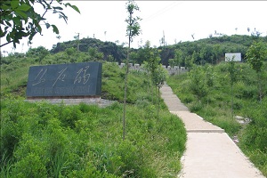 无棣县乡村旅游发展总体规划