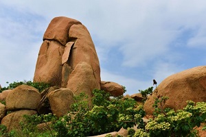 山亭区乡村旅游发展总体规划