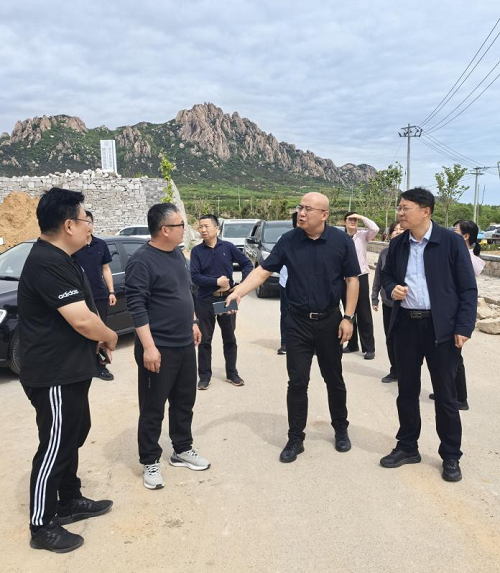 山东文旅集团领导到第一书记派驻村走访调研
