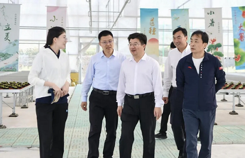 门家春到山乡花语项目调研