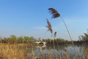 济南市济西国家湿地公园旅游运营规划