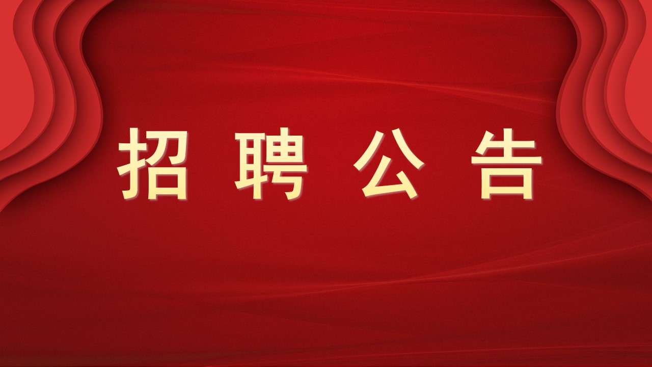 2025年“才聚齐鲁 成就未来” 山东省旅游工程设计院有限公司 社会招聘公告