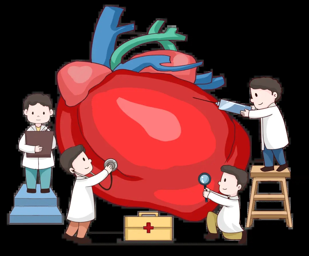 本月分享|血管活性药物在急危重症的应用