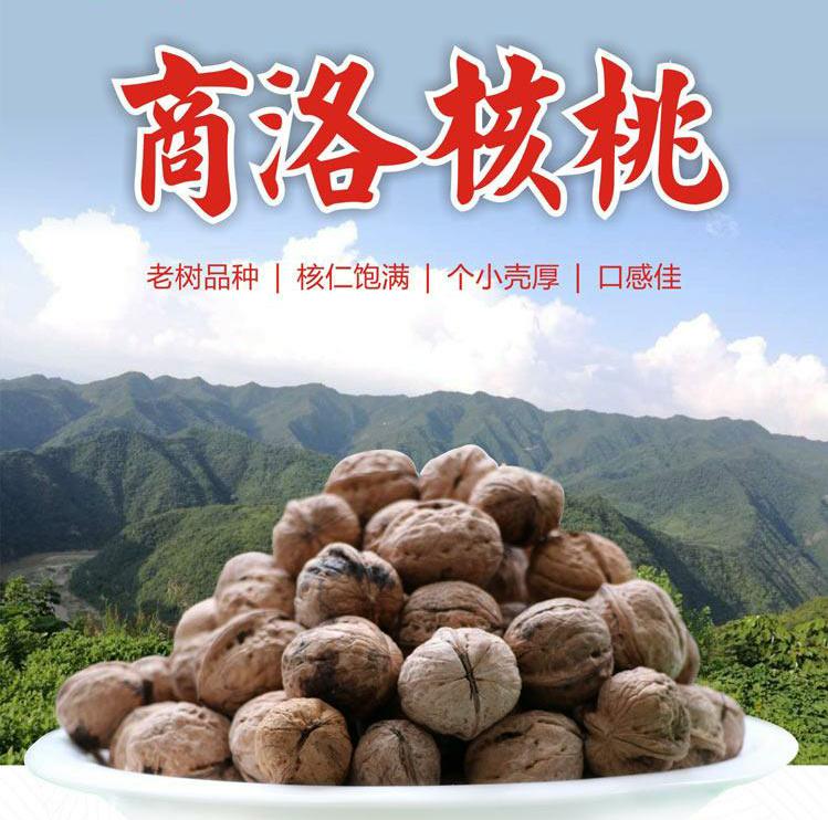 老树核桃3斤