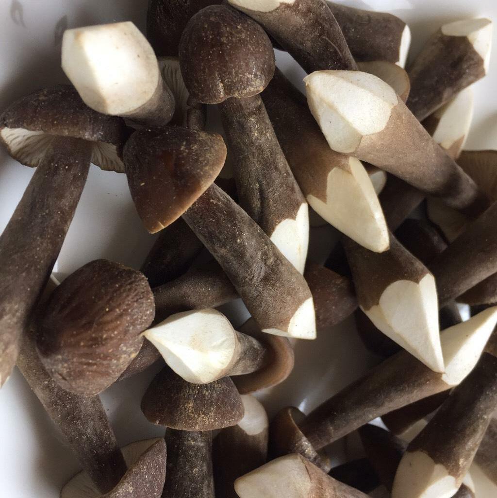 鸡枞菌150