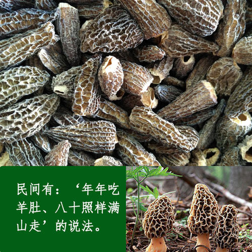 羊肚菌100g