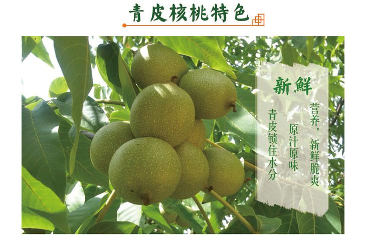 青皮核桃5斤（预定）