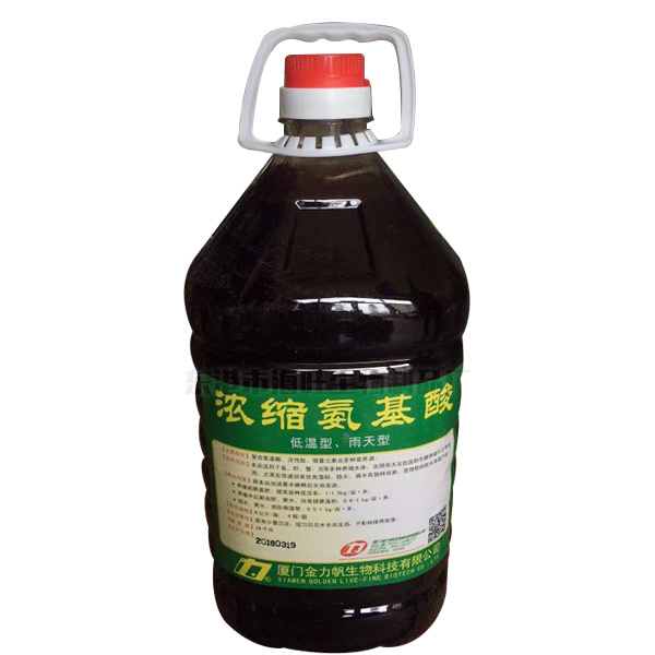 濃縮氨基酸