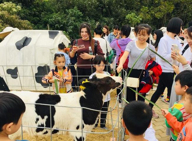 参观石埠牧场