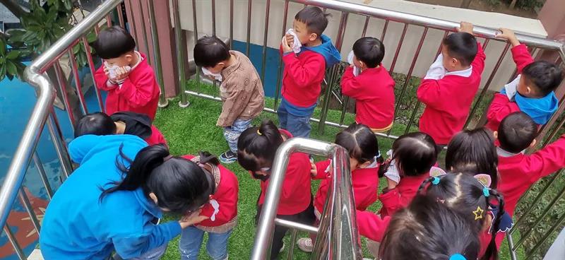 启元国际幼儿园