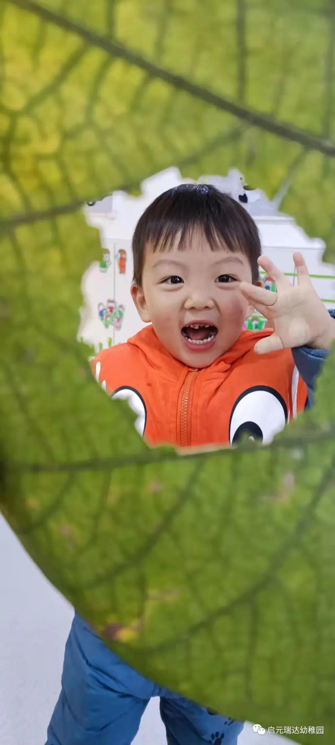 启元哈哈鱼连锁幼儿园瑞达分园