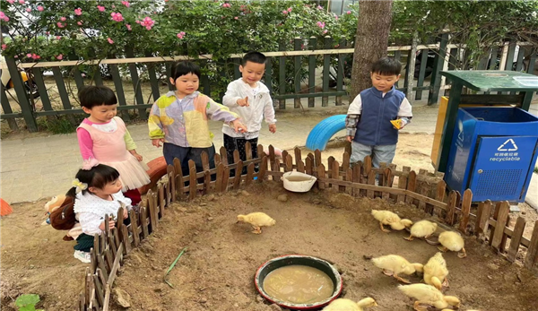 启元阳光谷幼稚园
