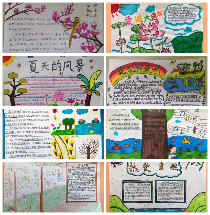 启元国际学校小学部