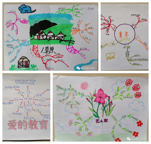 启元国际学校小学部