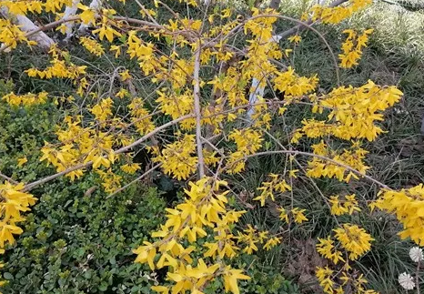 启元