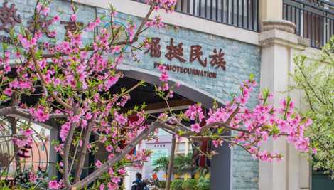 郑州启元国际幼儿园
