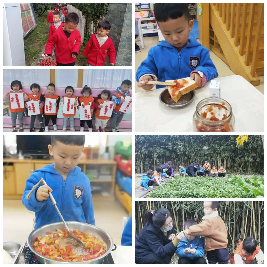 启元哈哈鱼连锁幼儿园瑞达分园