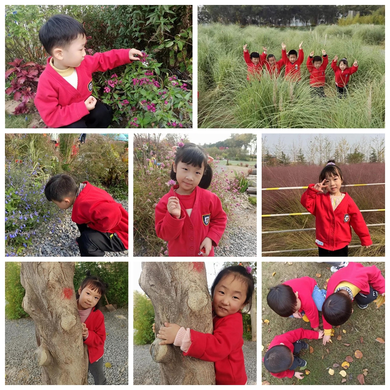 启元国际幼儿园