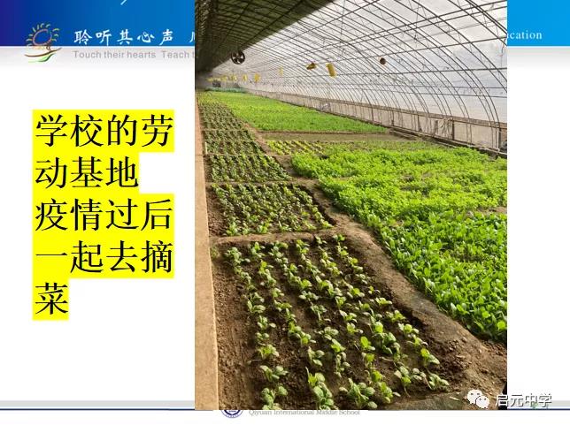 启元国际学校（初中部）