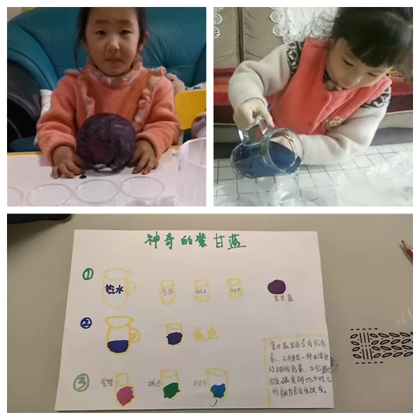 启元阳光谷幼稚园