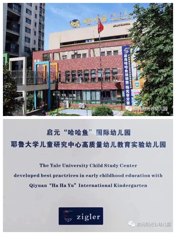 启元哈哈鱼国际幼儿园