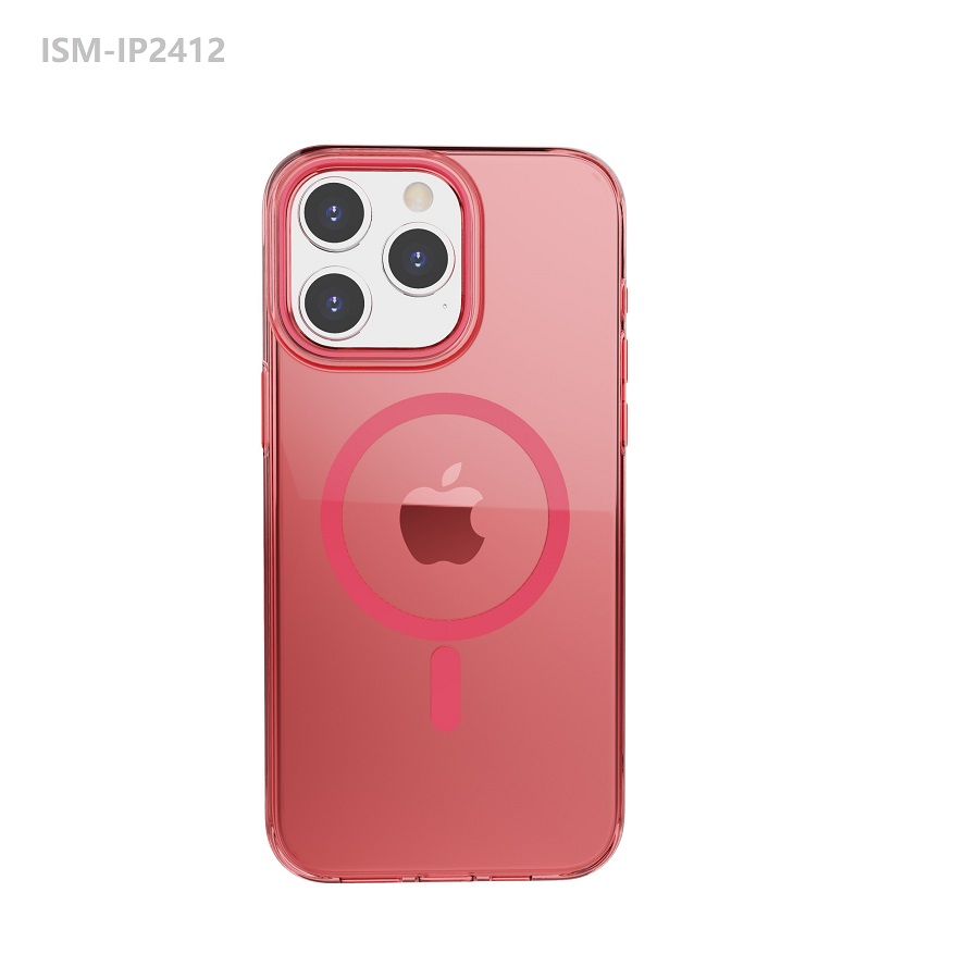 ISM-IP2412