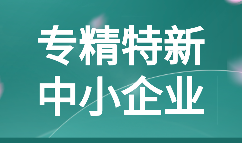 专精特新中小企业申报认定的标准有哪些 专精特新中小企业申报认定的标准有哪些