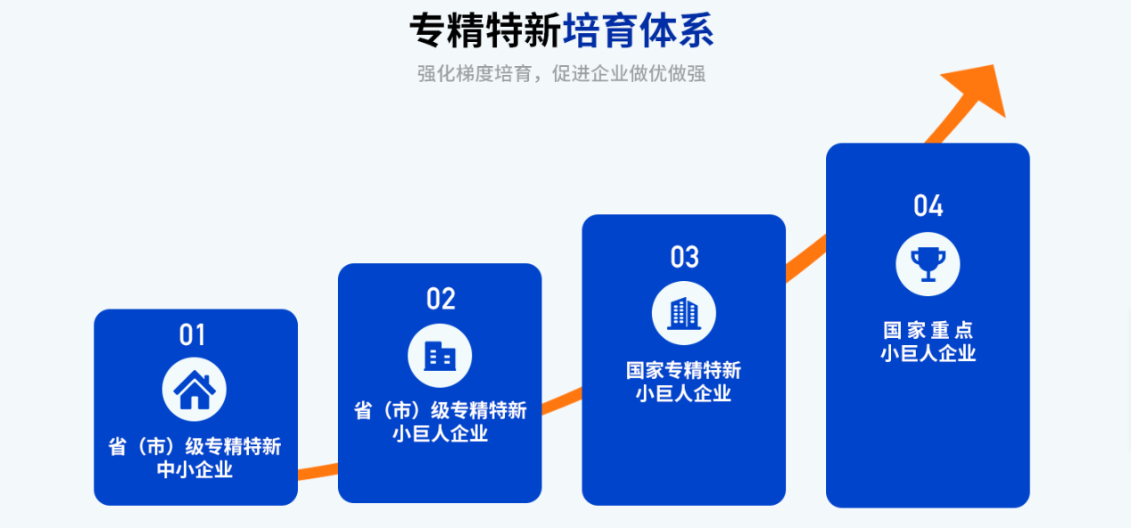 专精特新培育体系