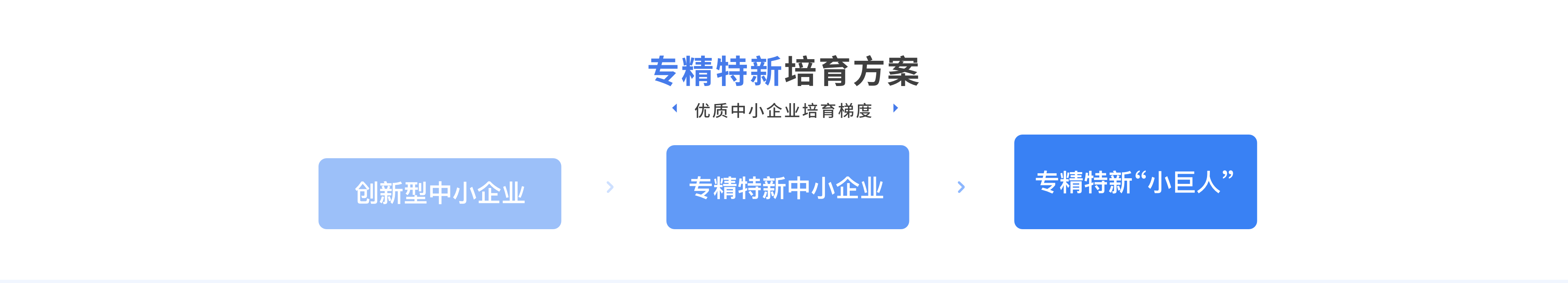 专精特新培育计划