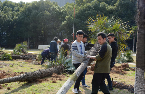 <a href="http://witce.cn/page24?article_id=18" utype="article_detail#0"><span style="color:#434343;">心手相牵,爱在三月</span></a>