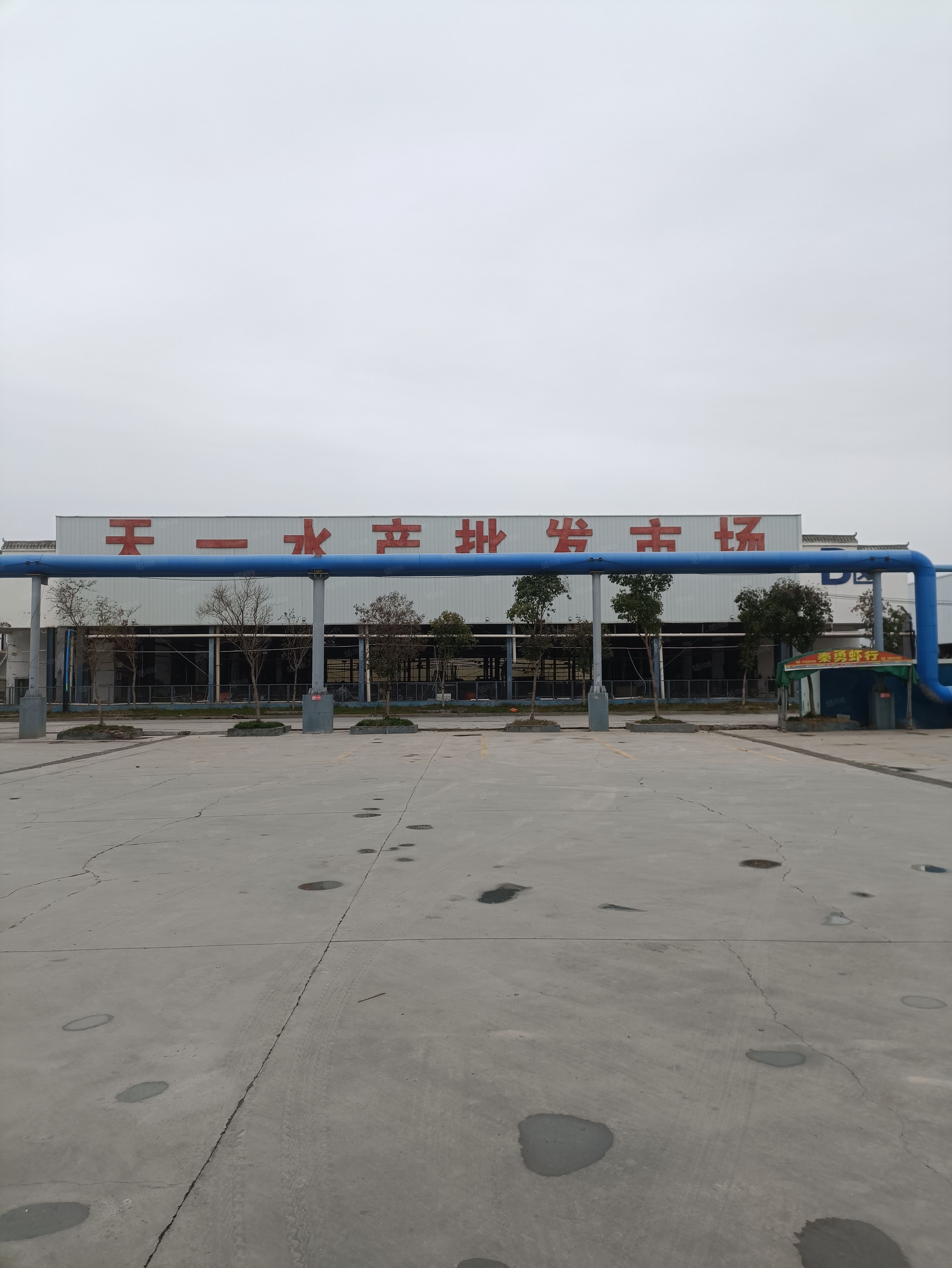 徐州天一海鲜市场