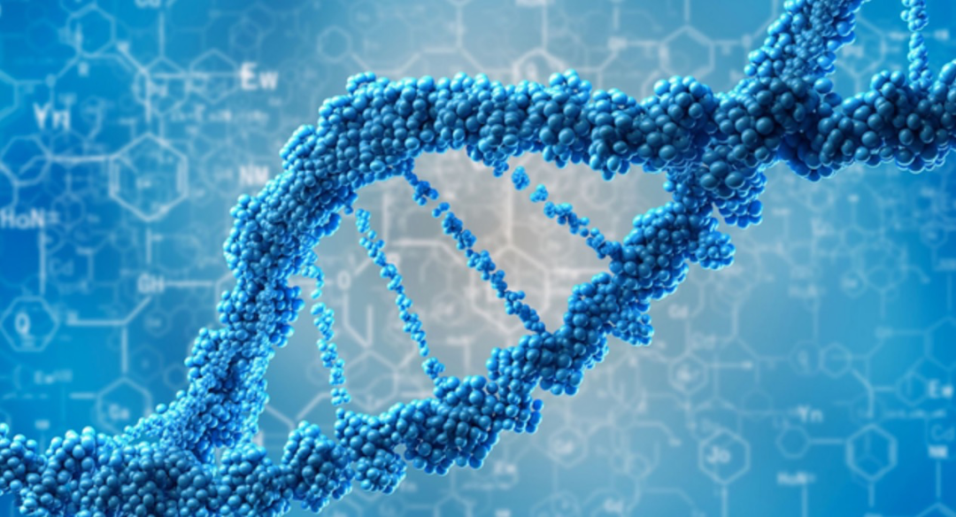 2024年美国生物统计学最佳大学排名