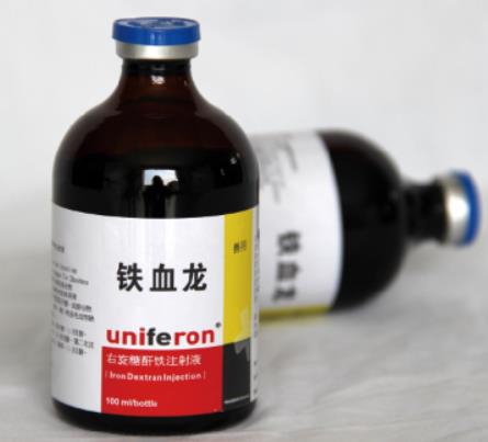 铁血龙