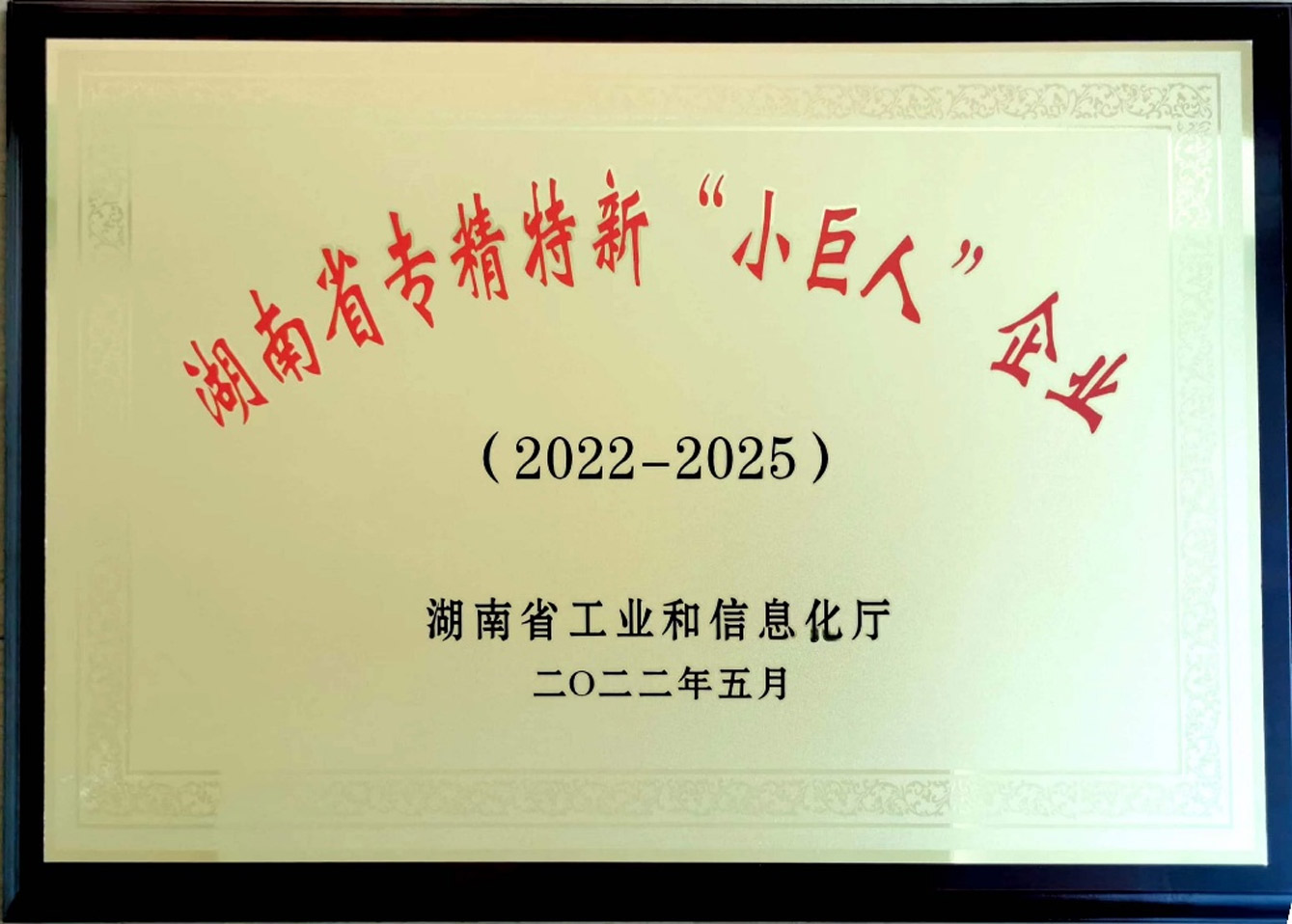正好制藥再獲“湖南省專精特新小巨人企業(yè)”殊榮