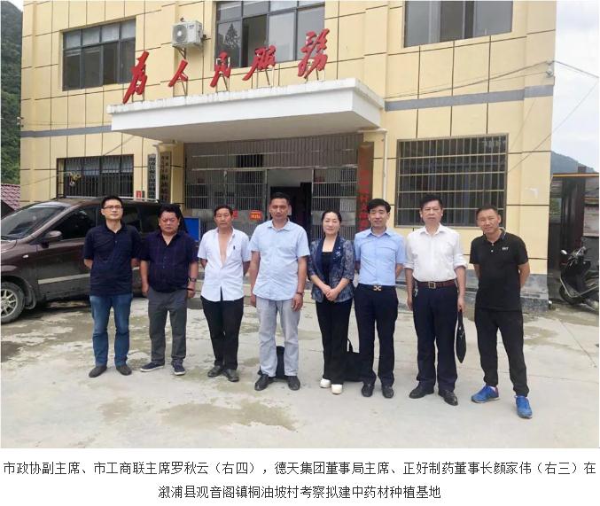 市政協(xié)副主席羅秋云到溆浦考察正好制藥擬建的中藥材種植基地