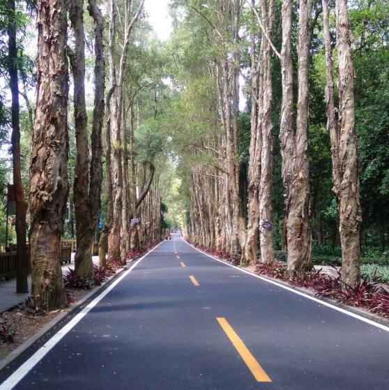 黑色沥青路面