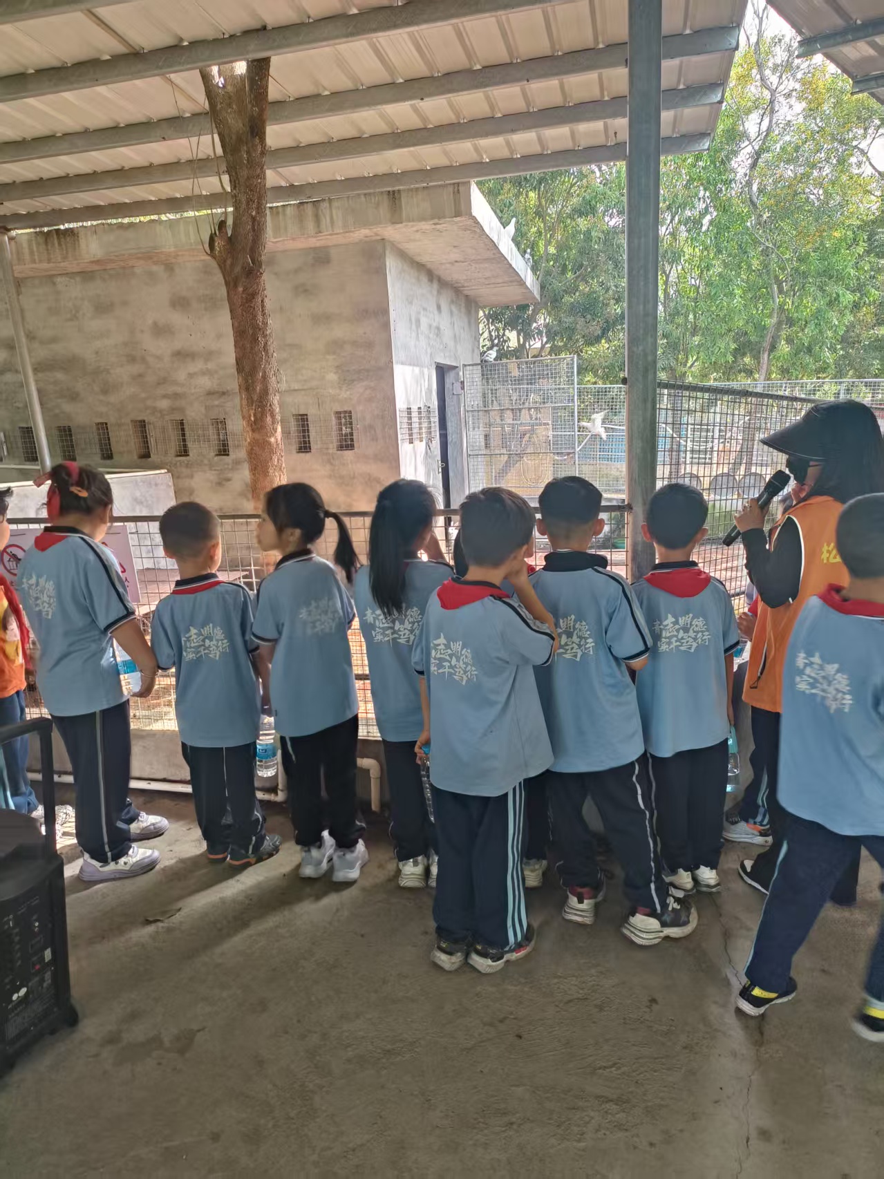 青实小学研学日