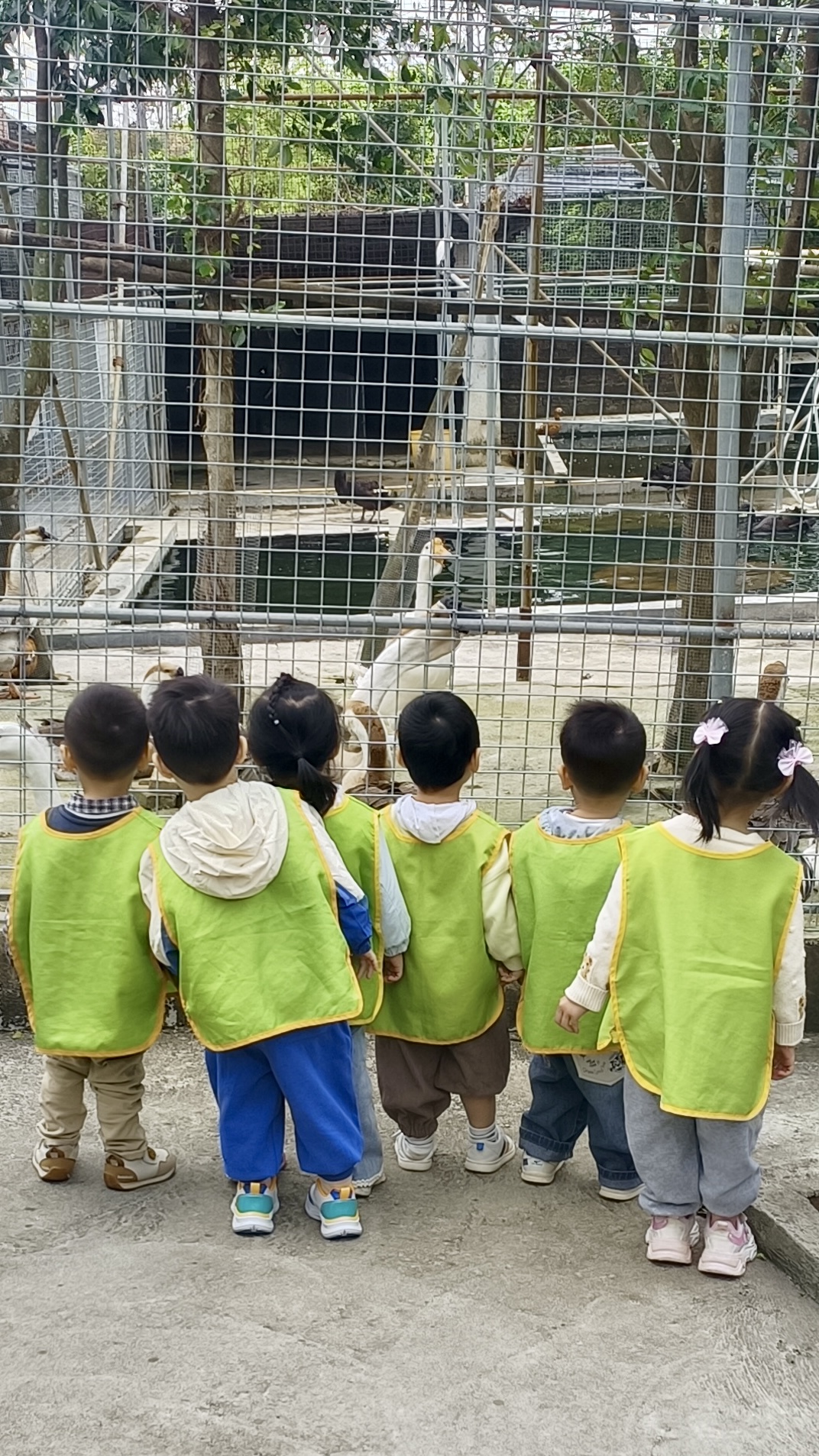 德宝幼儿园秋游