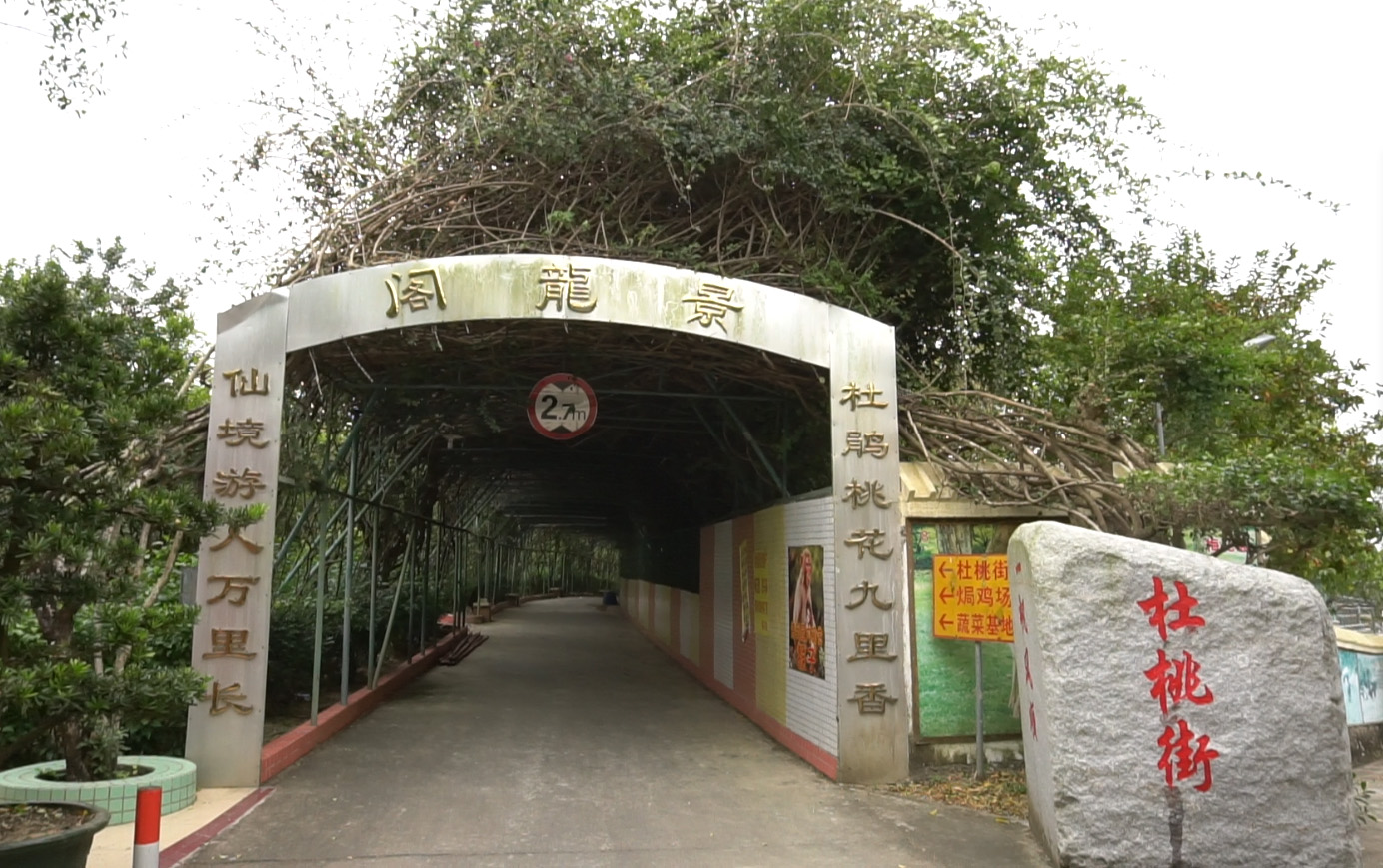 阁龙景 杜桃街