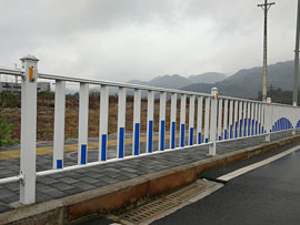 重庆大渡口九龙园区道路护栏