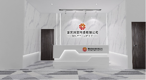 重庆拜安科技有限公司文化建设包装