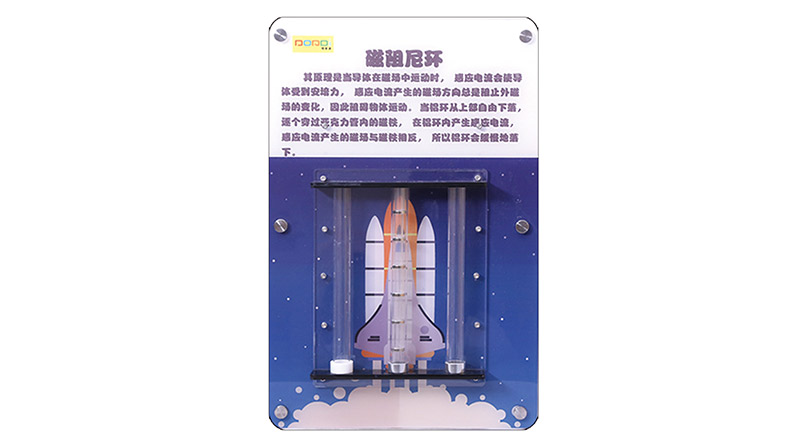 The magnetic damping ring