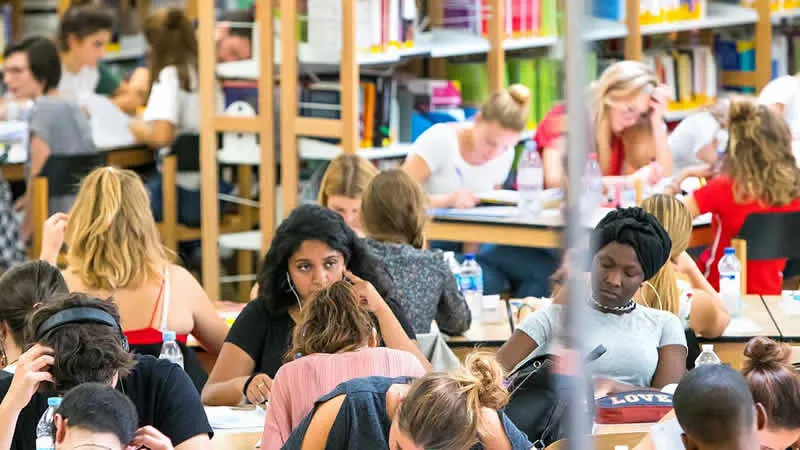 哪些学历最赚钱？法国热门专业收入榜揭晓