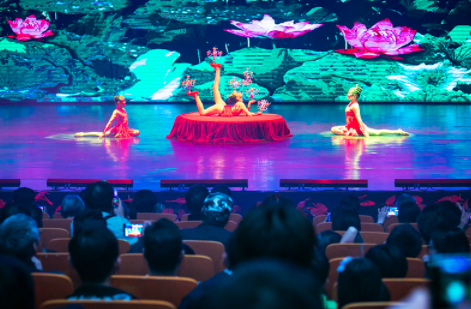 余家杂技 余家杂技