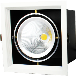 LED Griffe Down Light - 20W