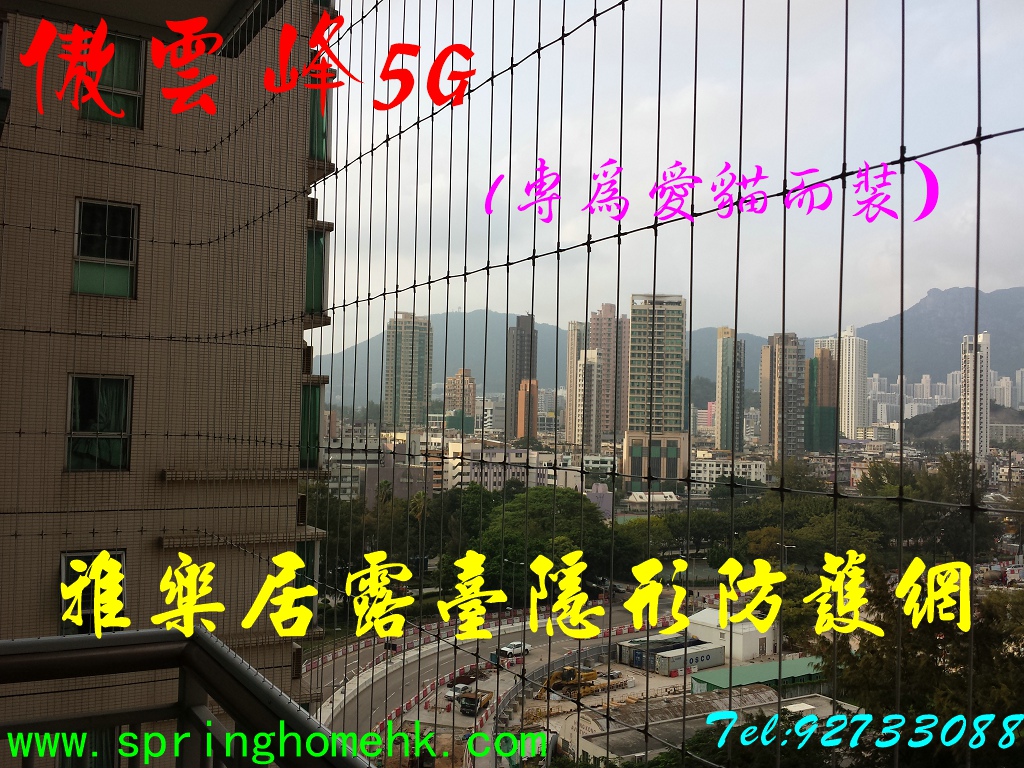 寵物家居安全